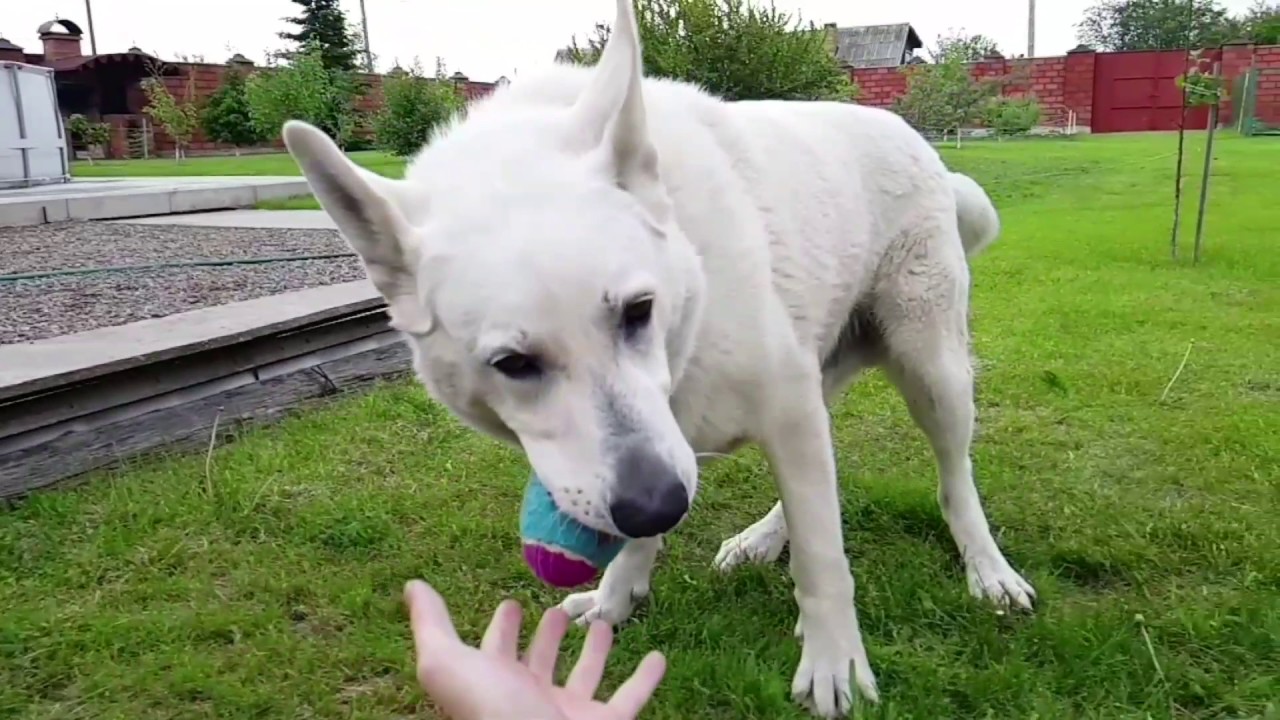 Slow motion test Samsung Galaxy S8