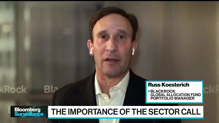 BlackRock's Koesterich Says Sectors Matter in 2022