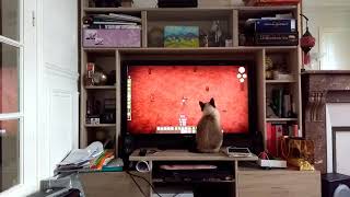 Cat playing Don't Starve