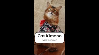 Summer Wears a Cat Kimono #shorts