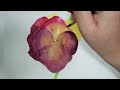 Betty’s flower drawing - Viola &amp; Carnation -