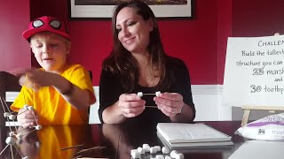 Marshmallow Toothpick Engineering Challenge