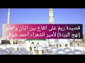 قصيدة ريم على القاع بين البان والع لم نهج الب ردة لأمير الشعراء أحمد شوقي