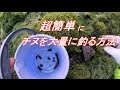 簡単にチヌを釣る方法★★★