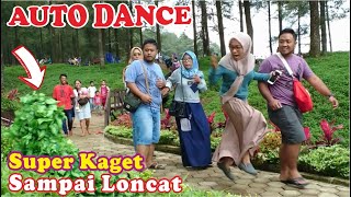 AUTO DANCE di HUTAN PINUS LIMPAKUWUS with BUSHMAN PRANK