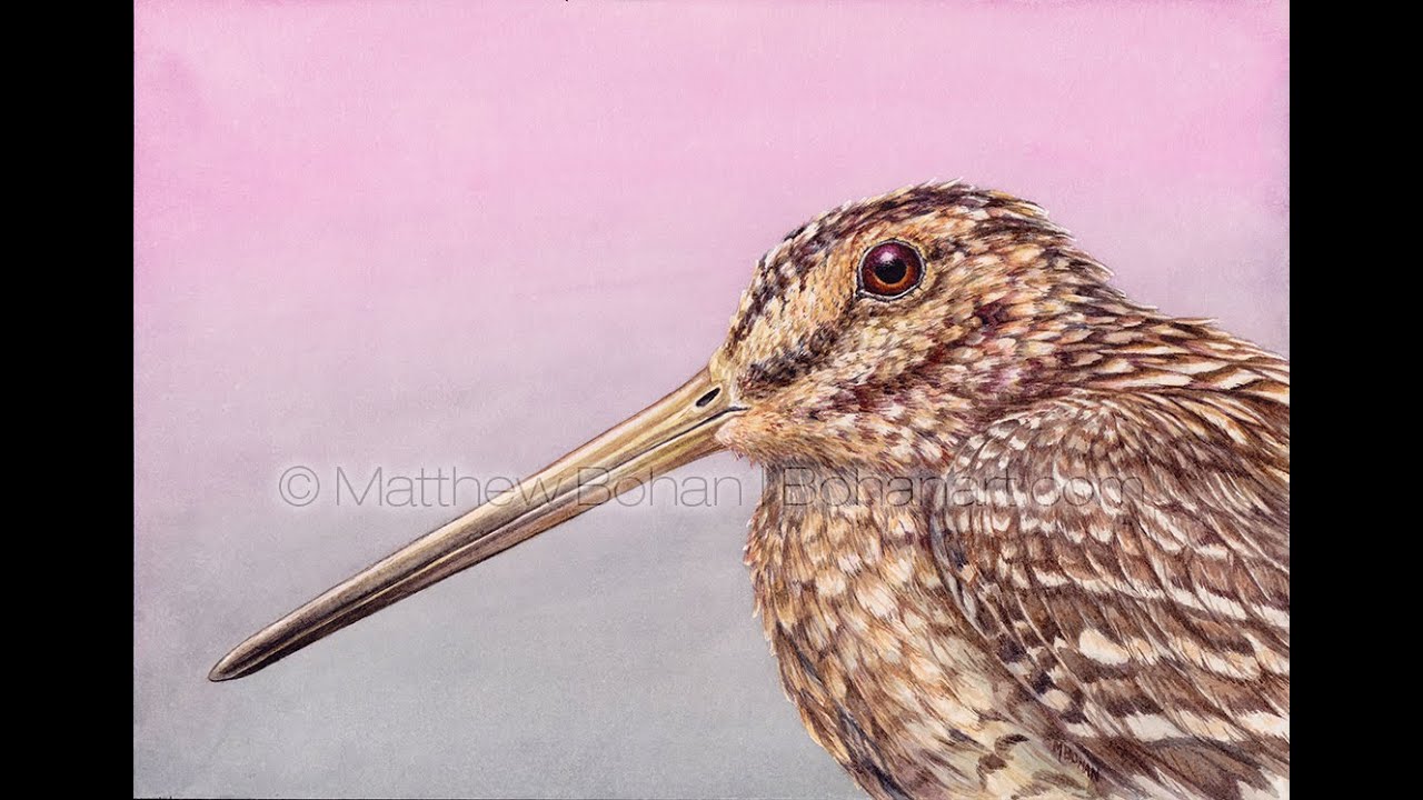 snipe time jbidwatcher snipe time jbidwatcher