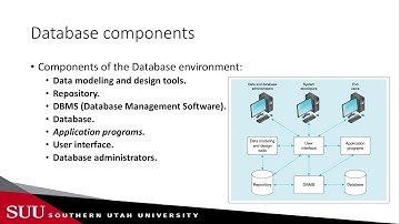 Databases: Database Advantages