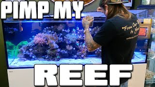 Pimp my Reef Tank! with World Wide Corals | Tyler Nolan