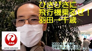 【飛行機】羽田-新千歳 JAL529便 搭乗レポ