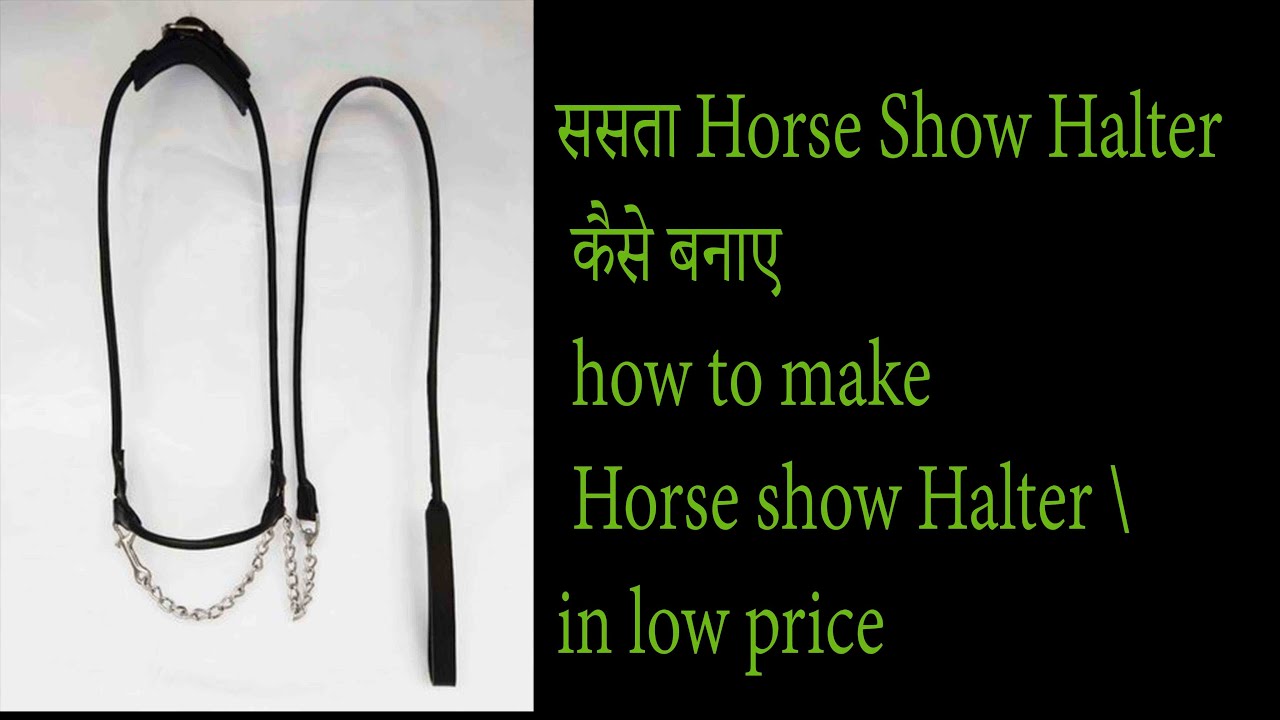 सस्ता Horse Show Halter कैसे बनाए  how to make Horse show Halter in low price