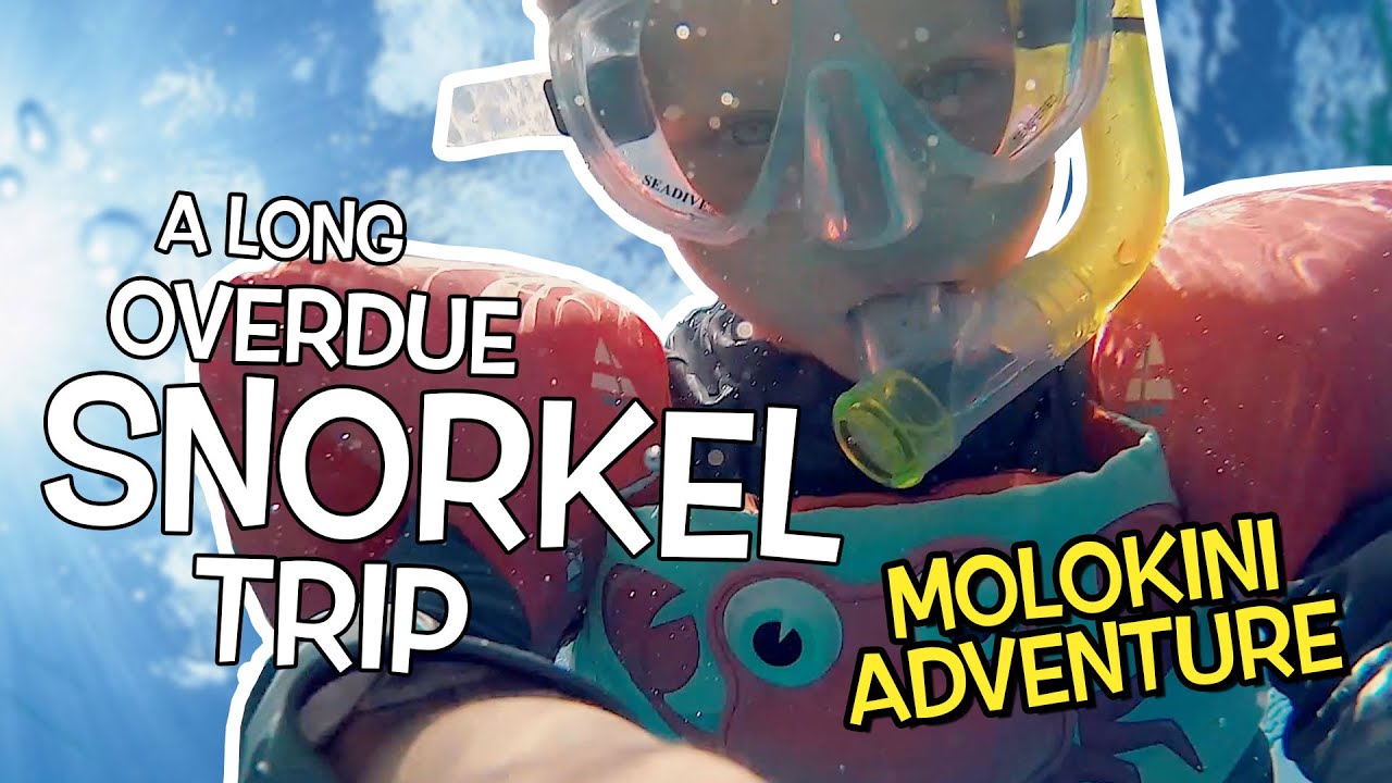 Goodbye Maui Bucket List - SNORKEL TRIP - Little Maui Life
