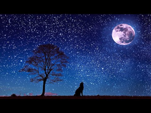 Ay ışığı Dolunay Yıldızlar  ve piyano sesi eşliğinde Meditasyon