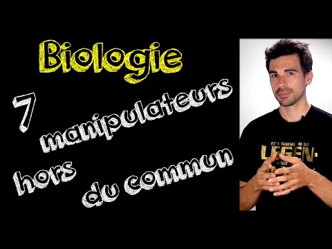 Vidéo: Prévalence Et Facteurs Associés Des Infections Parasitaires Intestinales Chez Les Manipulateurs D'aliments Asymptomatiques Travaillant Dans Les Cafétérias De L'Université