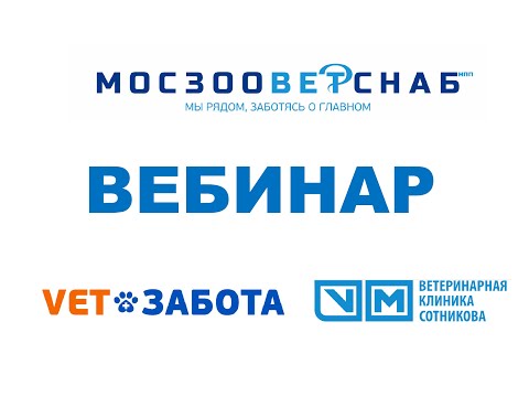 Клинические случаи пиодермии  Тактика ведения