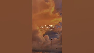 سورة الجاثية فَلِلَّهِ الْحَمْدُ رَبِّ السَّمَاوَاتِ وَرَبِّ الْأَرْضِ رَبِّ الْعَالَمِينَ (36)