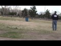 Dog Training - Teach your dog to jump over a trash can