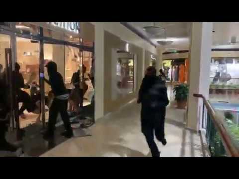 People Looting A Louis Vuitton Store! (PORTLAND, OREGON) - YouTube