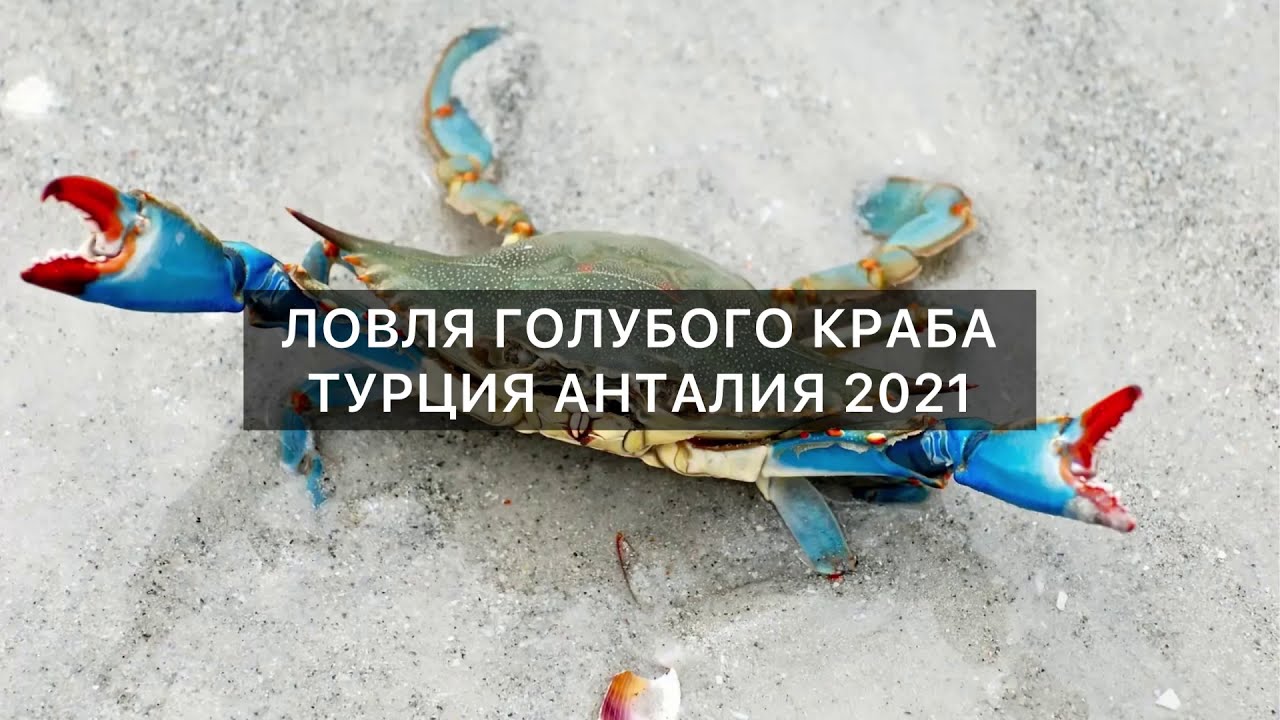 Авто краб в тюмени