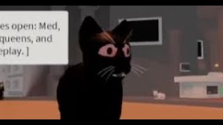 What Warrior Cats Ultimate Edition Used To Be Roblox Beta