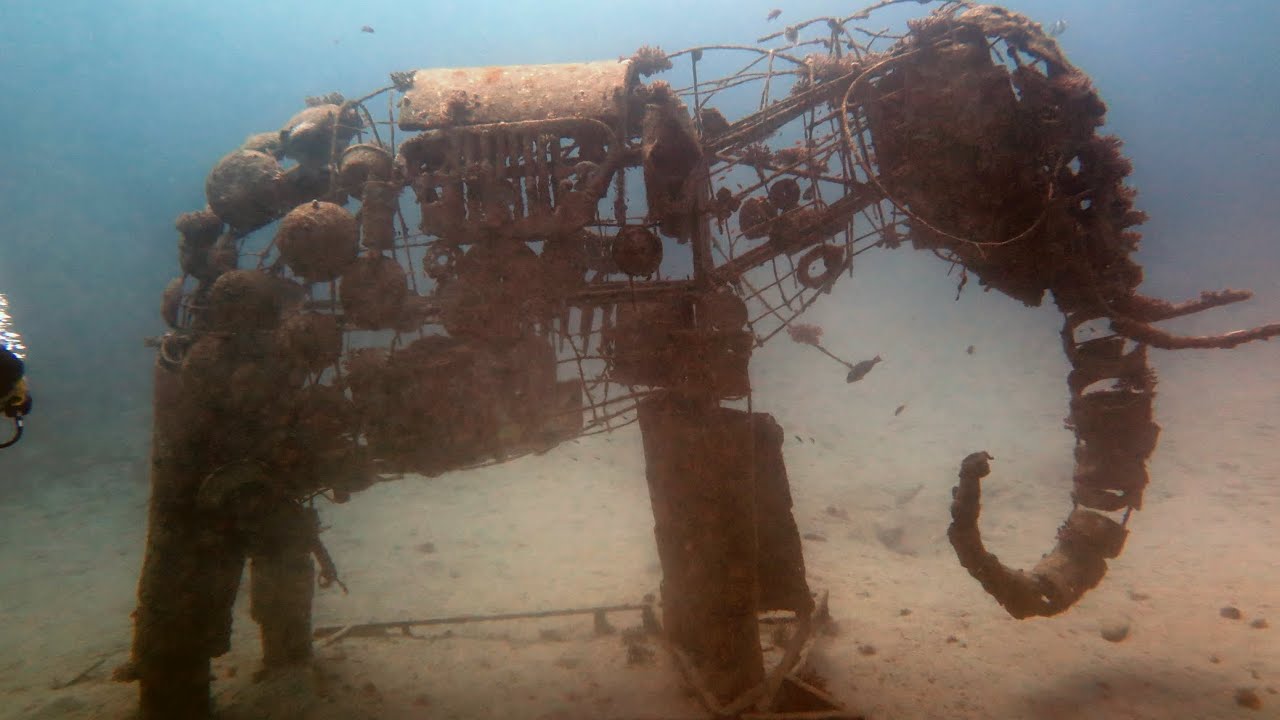 Diving Deep: Discovering the Junk Elephant Sculpture at Dahab's Lighthouse Dive Site