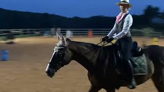 Madison Jarvis & Alfie Working Equitation Level 1 EOH