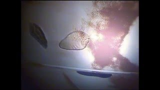 Subcentro - Mergulhadores Profissionais Inspecção Subaquática