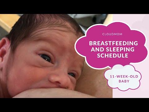 11-Week-Old Baby: Breastfeeding and Sleeping Schedule | Subt. ENG/ FR/ ES/ ZHO_CN | CloudMom