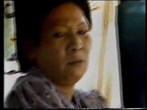 Promotional video from HK Police   Police Recruitment