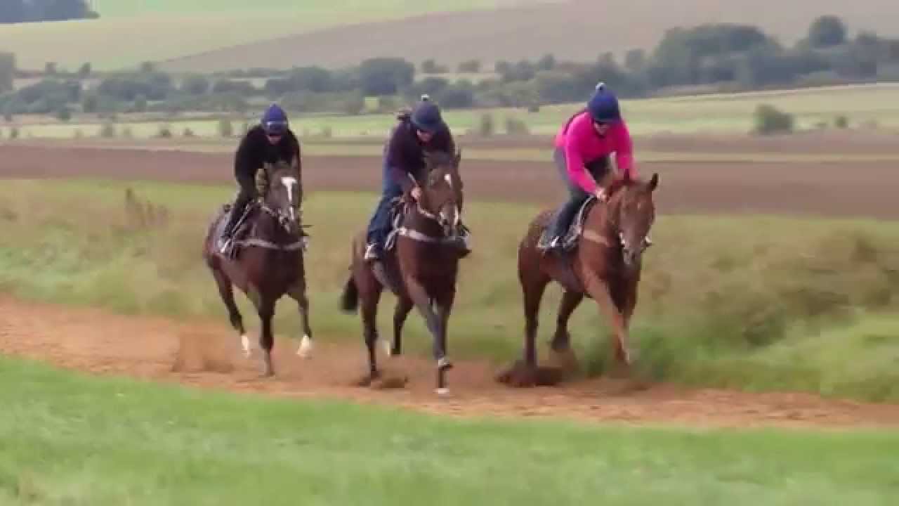 Woodway Gallops - Blewbury..