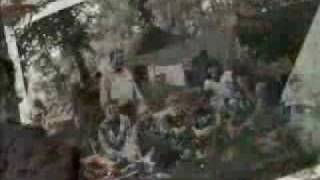 Angelou- Among The Pines (Edensounds rock, river, tree RMR mix).flv