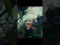 CG STATUS VIDEO | CG NEW SONG | CHHATTISGARHI WHATSAPP STATUS | CG LOVE STATUS | CG LOVE SONG #SHORT