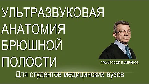 Ультразвуковая анатомия  органов брюшной полости и забрюшинного пространства