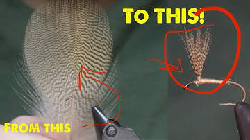 How to tie Wood duck wings!