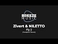 Zivert & NILETTO - Fly 2 (Hardphol Remix) | BREEZEMUSIC |