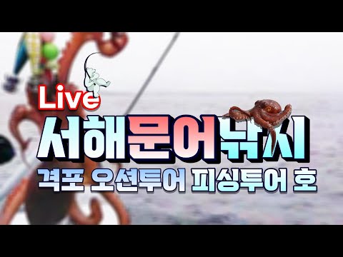 <strong>서해</strong> 문어 <strong>낚시</strong>