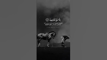 📖• سورة البقرة  🎙️• انس الشافعي