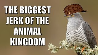 The BIGGEST Jerk of the animal kingdom
