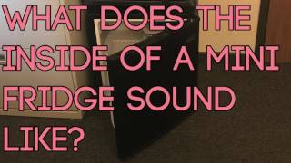 What Does The Inside Of A Mini Fridge Sound Like?