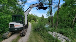 Brush cutting with the new vail excavator attachment #71
