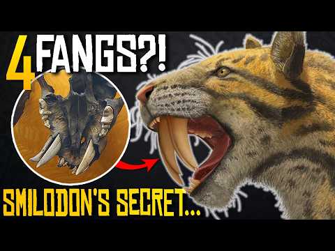 Sometimes Smilodon Had FOUR Fangs!