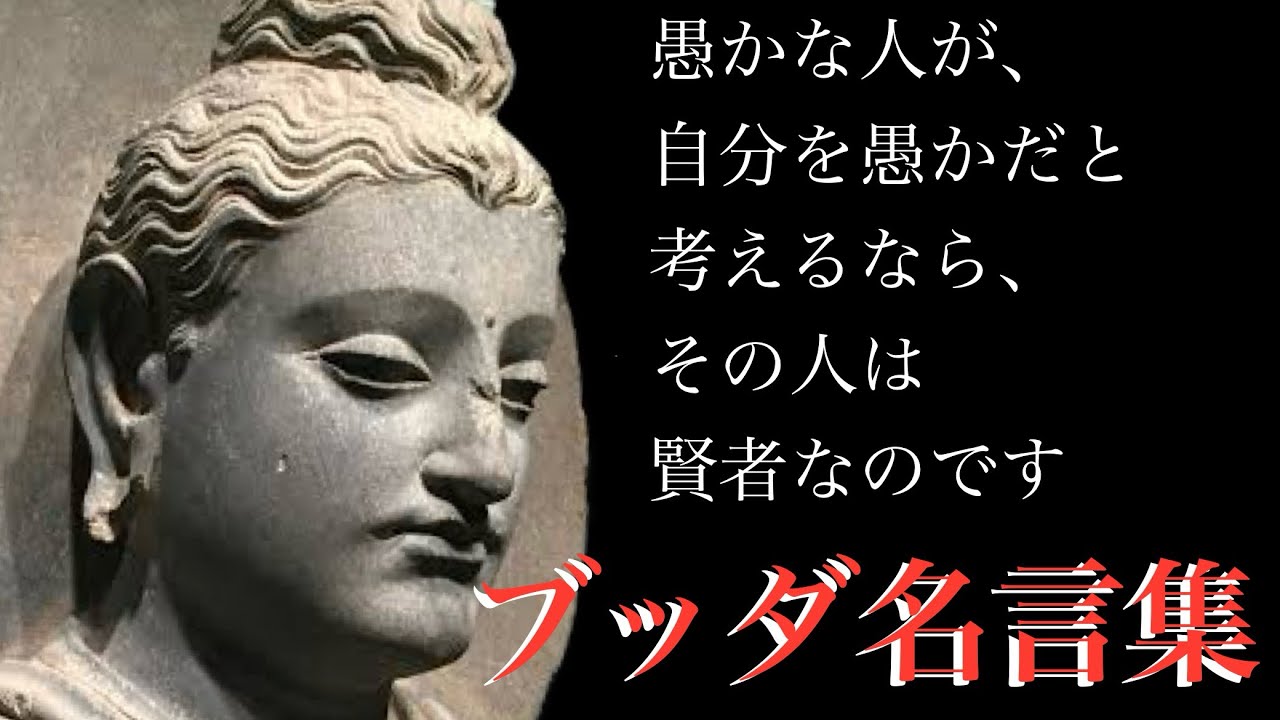 【ブッダの教え】悟りを開いたブッダの残した、人が生きるべき姿と考え方 - YouTube