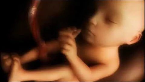 Co je minerál spermatu?