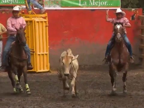 X Encuentro Mundial de Vaquería -Cumaral, Meta 2016- TvAgro por Juan Gonzalo Angel - 동영상
