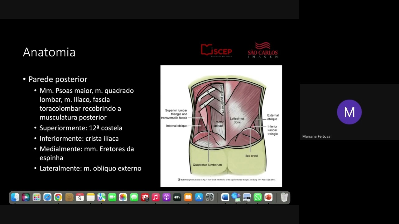 US ~ Parede Abdominal, Regiao Inguinal, Bolsa Escrotal - Dra. Mariana Feitosa