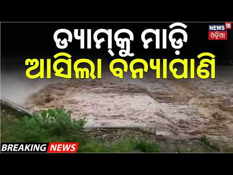 ଡ୍ୟାମ୍‌କୁ ମାଡ଼ିଆସିଲା ବନ୍ୟାପାଣି | Mayurbhanj Flood Alert | Balidaha Dam Overflow After Heavy Rain