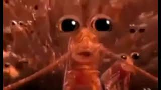 I am one in a Krillion