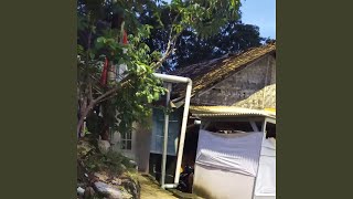 Aku menderita Urip karo koe