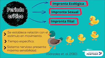 Cosa vuol dire il termine etologo?