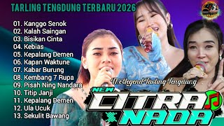 🟢Jagonya Tarling Tengdung || CITRA NADA || Lagu Tarling Paling Kalem Paling Santai Paling enak‼️
