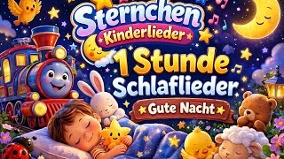 🌙1 Stunde Schlaflieder für Kinder | Gute Nacht Kinderlieder zum Einschlafen ⭐ Sternchen Kinderlieder